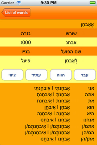 iPhone Hebrew Verbs Application iPhone Hebrew Verbs Application